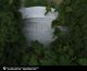 Gravestone-LauraWatson-DavidJulian.JPG Gravestone-LauraWatson-DavidJulian.JPG
